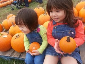 1375957_744601745555938_425699033_n